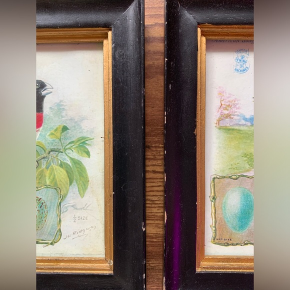 Shabby chic/vintage look Framed bird art - Picture 4 of 5